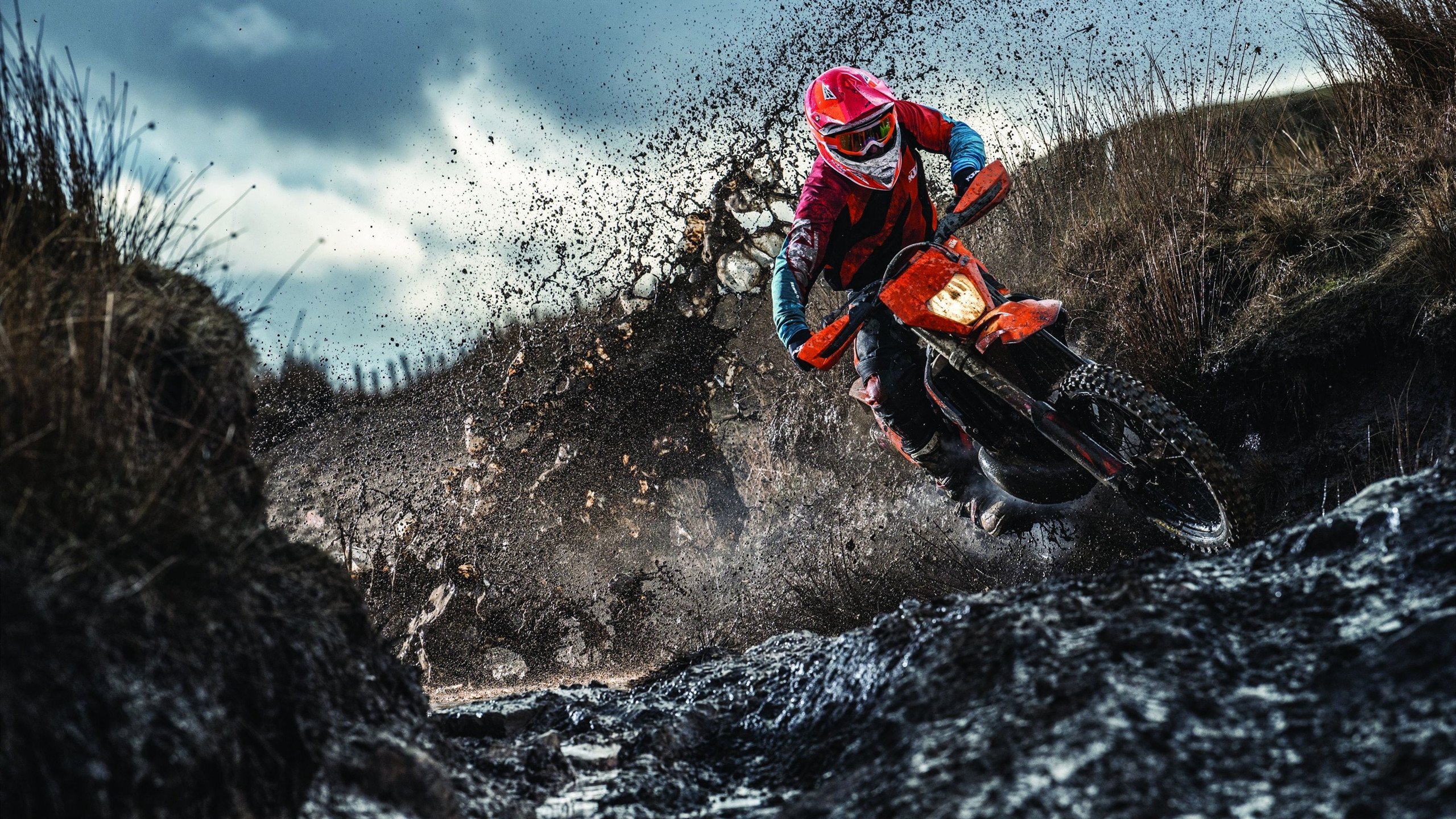 德甲激烈碰撞：速度、策略、力量全展现！，德甲现场